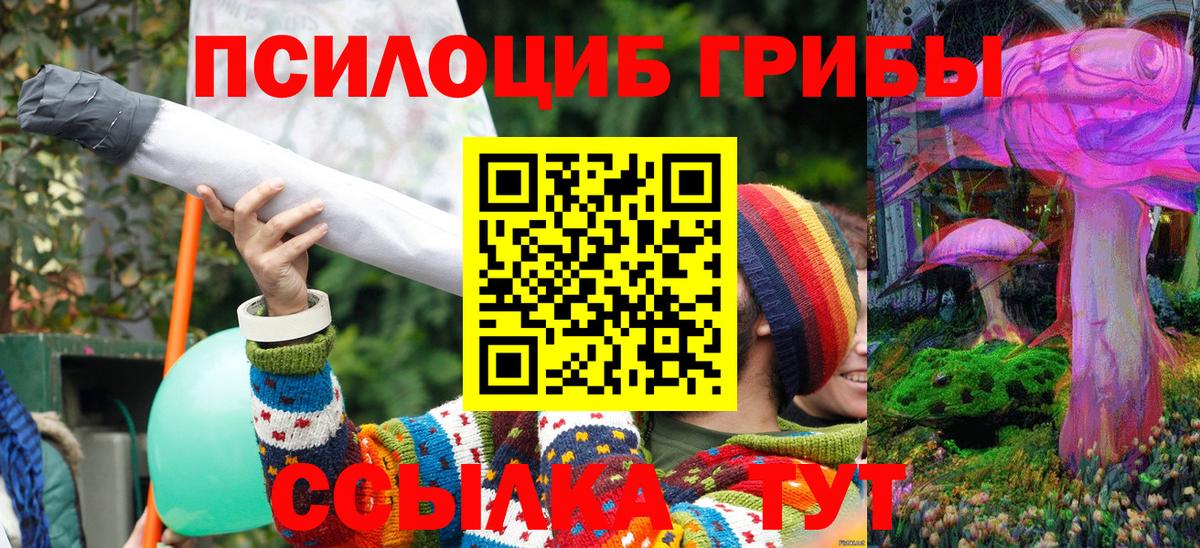 Галлюциногенные грибы Psilocybe Сосновоборск