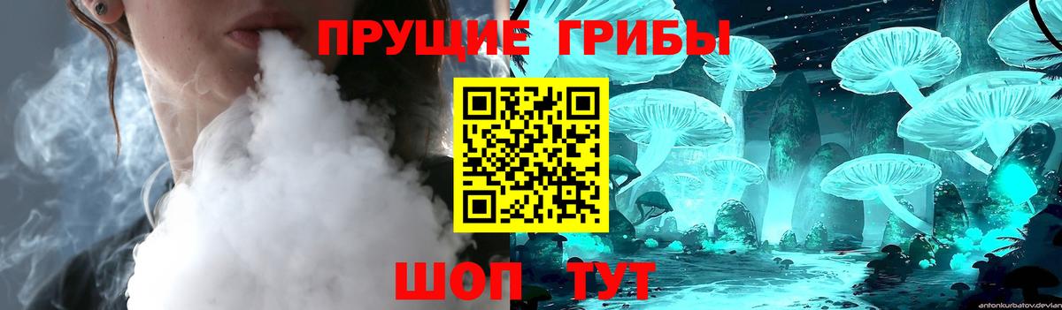 Псилоцибиновые грибы ЛСД  Галлюциногенные грибы Psilocybe  Вход с VPN  Сосновоборск 